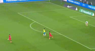 维尼修斯巧, http